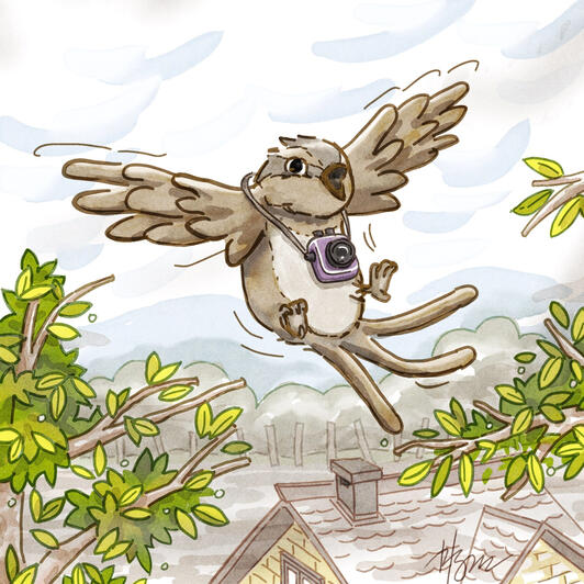 MYoo Little Town Soppa On The Sky